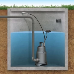 Pompe à Eau Pompe Vide Cave Pentair FP7KV